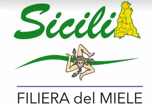 censimento annuale